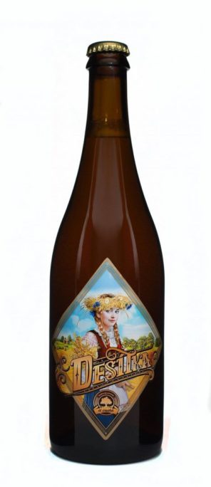 10° výčepní - světlé - Obrázek 2