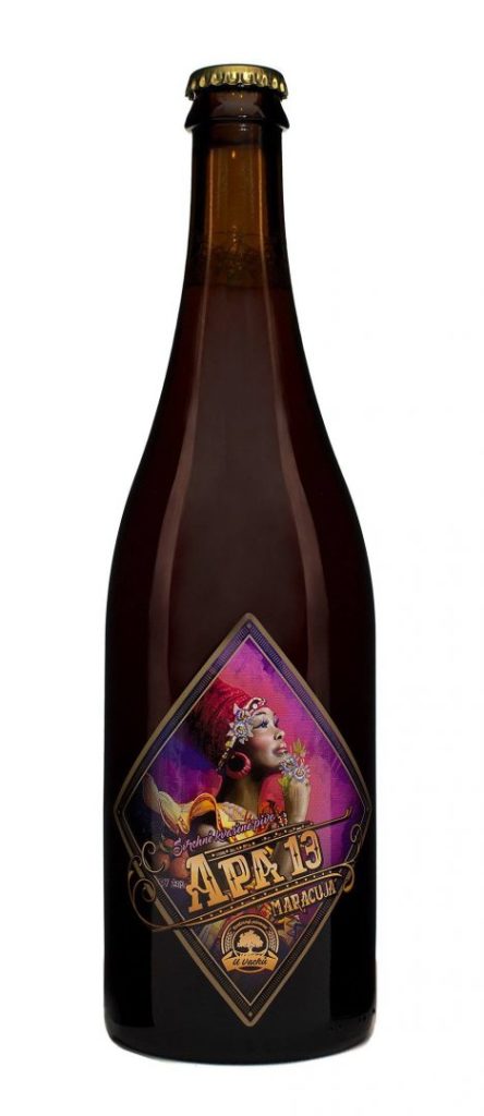 APA 13° - Obrázek 2